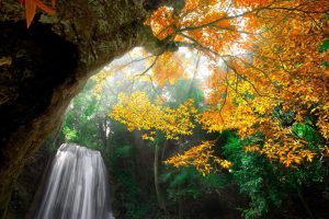 宝宝起名字测试~（宝宝起名字灵感）