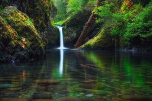 宝宝起名生辰八字~（宝宝起名策略推荐）