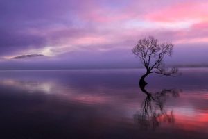 崔姓男孩起名~（男孩名字大全）