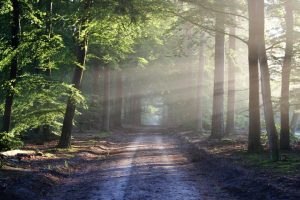 店铺起名~（店铺取名灵感）
