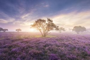 快餐店起名~（快餐店取名灵感）