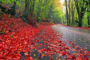 新生婴儿免费起名~(宝宝起名免费咨询)