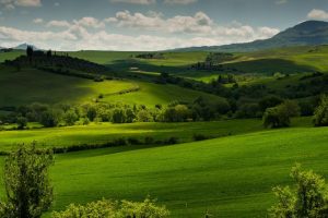 新生婴儿起名~(宝宝取名攻略)