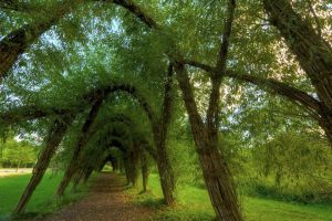 根据生辰八字起名字~（八字起名字取名大全）