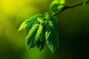 牛宝宝起名~（宝宝起名灵感）