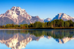 瓷都起名网免费取名~（瓷器起名网免费取名）