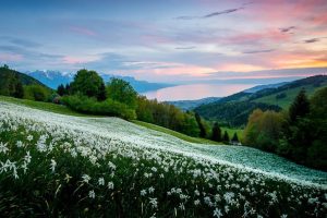 科技公司起名大全~(创业公司品牌起名指南)