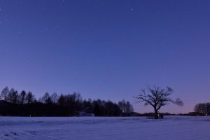 给宝宝起名字大全~（宝宝取名灵感大全）
