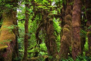 给小狗起名字大全~（小狗狗名字推荐大全）