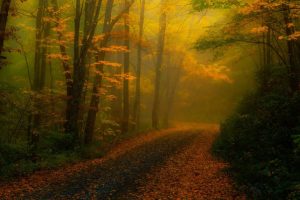 给男孩起名字~（宝宝男孩取名大全）