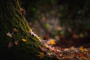 网络公司起名~(网络公司命名灵感)