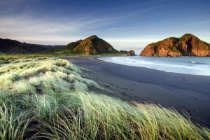 羊年女宝宝起名大全~（女孩名字大全2023）