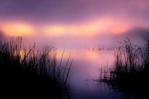 美发店起名~（发型店取名）