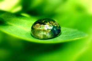 美名腾智能起名网~（名字起名网）