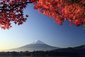 美名腾起名网~(品名起名网)