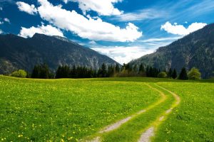 起名 免费~（免费起名服务）