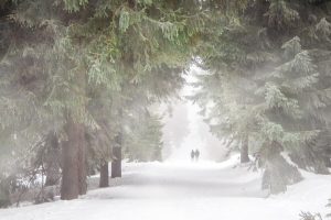 起名 打分~（起名比赛评审）