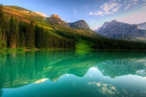 起名 软件~（起名 工具）