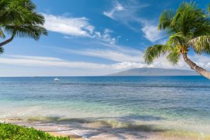 起名字 免费~（取名网站 免费起名）