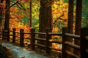 起名字~(取名技巧)