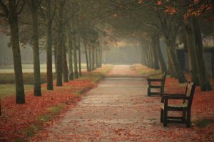 起名字大全男孩~（男孩名字大全起名字）