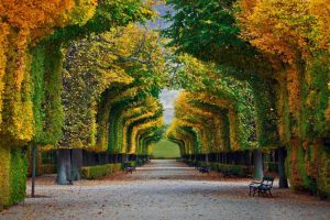 起名字大全男孩姓李~（起名字大全姓李男孩）