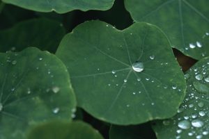 起名字库大全~（起名大全）