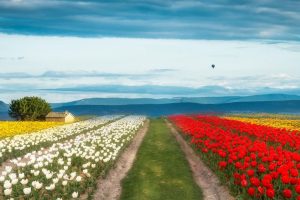 起名字打分~(起名宝典)