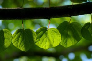 起名字网~（命名网站）