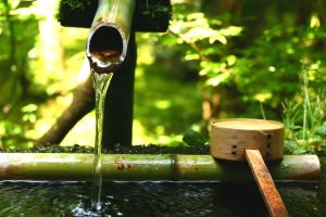 起名字软件~（起名工具软件）