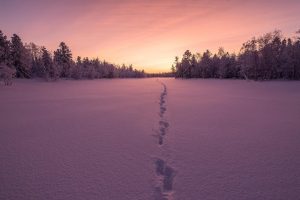 陈姓起名~（陈姓起名灵感）